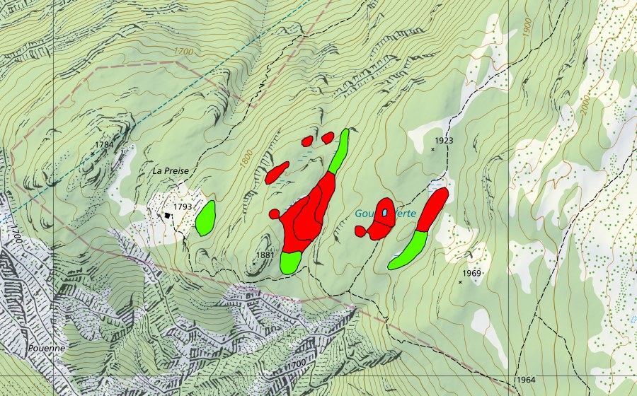 swisstopo national map showing the protected perimeter of Gouille Verte (Raised bog)