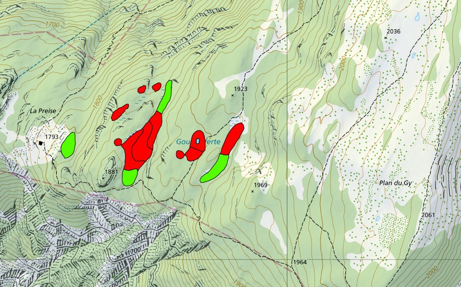 swisstopo national map showing the protected perimeter of Gouille Verte (Raised bog)