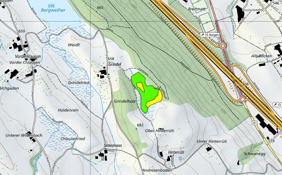 Carte nationale swisstopo avec le périmètre protégé de Grindelmoos (Haut-marais)
