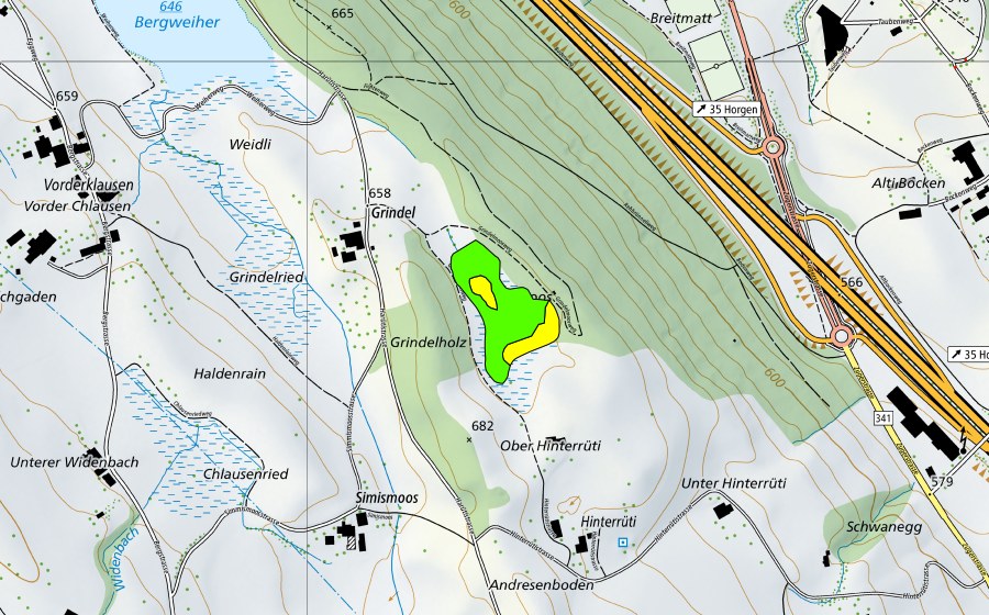 Landeskarte swisstopo mit dem Schutzperimeter von Grindelmoos (Hochmoor)