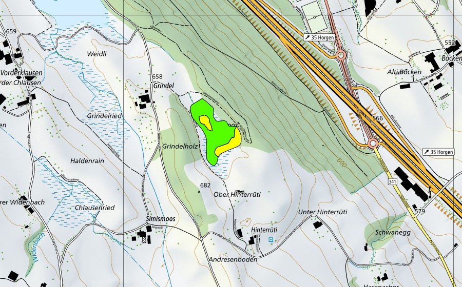 swisstopo national map showing the protected perimeter of Grindelmoos (Raised bog)