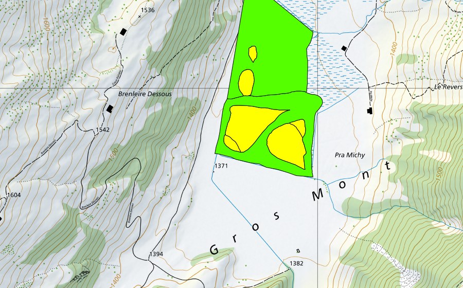 Landeskarte swisstopo mit dem Schutzperimeter von Gros Mont (Hochmoor)