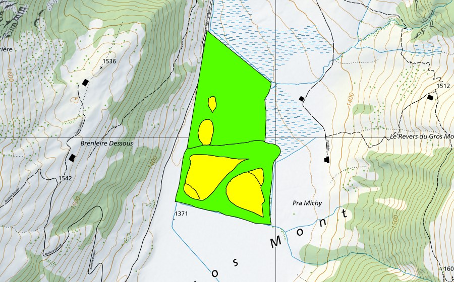 Landeskarte swisstopo mit dem Schutzperimeter von Gros Mont (Hochmoor)