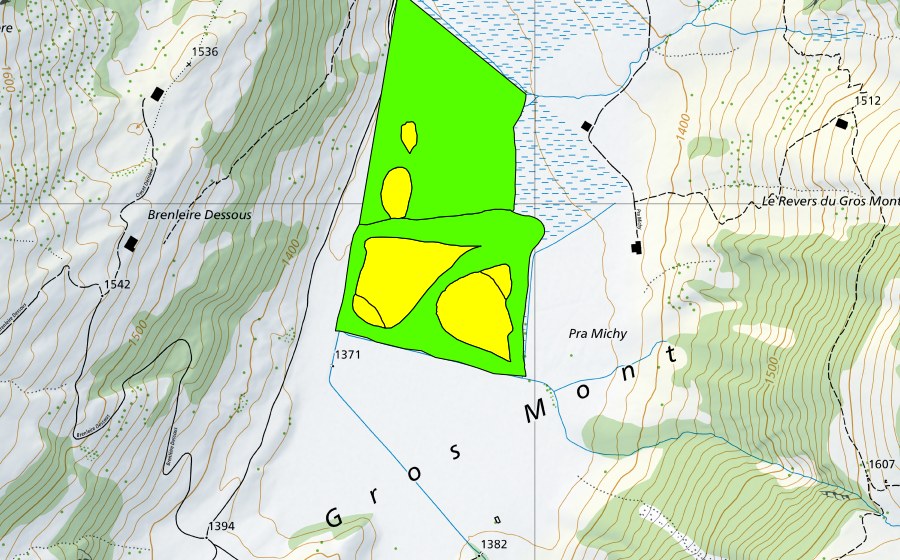 Carte nationale swisstopo avec le périmètre protégé de Gros Mont (Haut-marais)