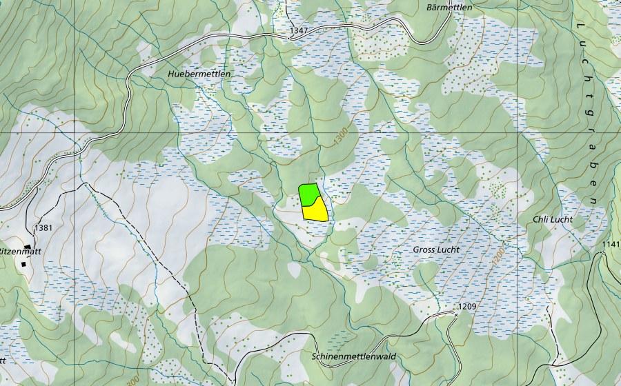 swisstopo national map showing the protected perimeter of Gross Lucht (Raised bog)