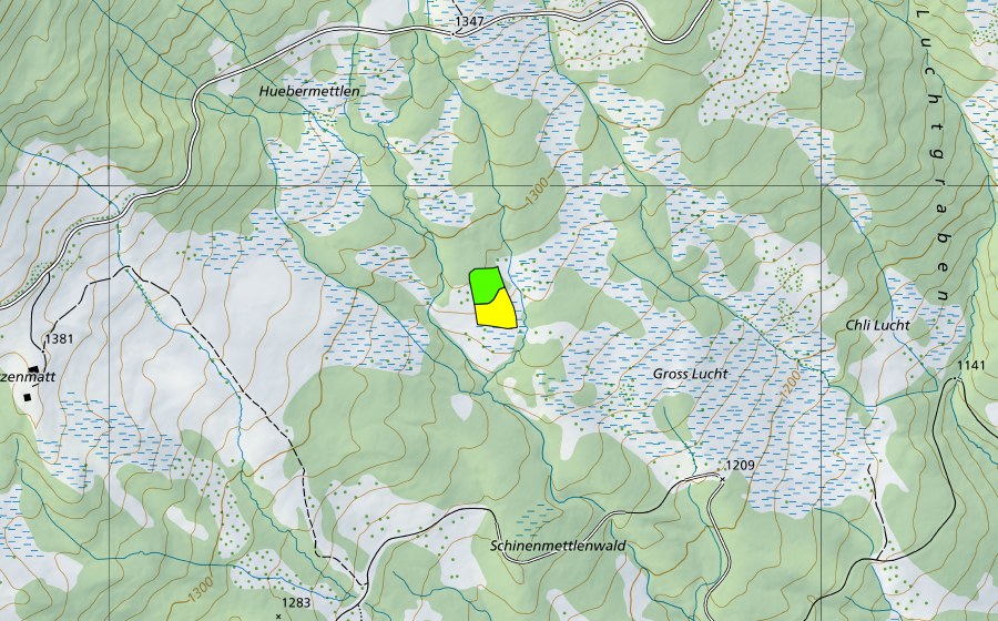swisstopo national map showing the protected perimeter of Gross Lucht (Raised bog)