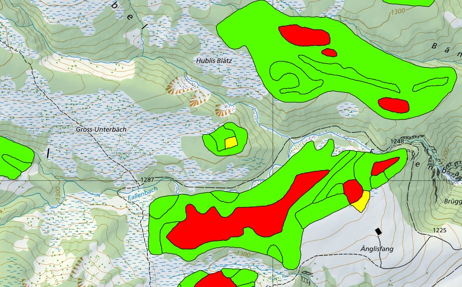 Landeskarte swisstopo mit dem Schutzperimeter von Gross Underbäch (Hochmoor)