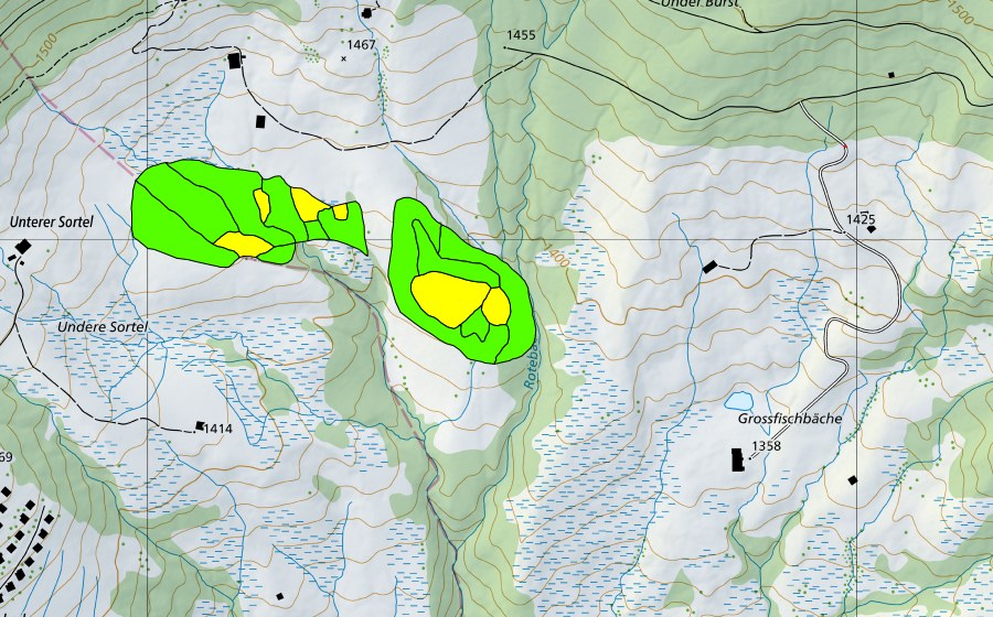 Landeskarte swisstopo mit dem Schutzperimeter von Grossfischbächen (Hochmoor)