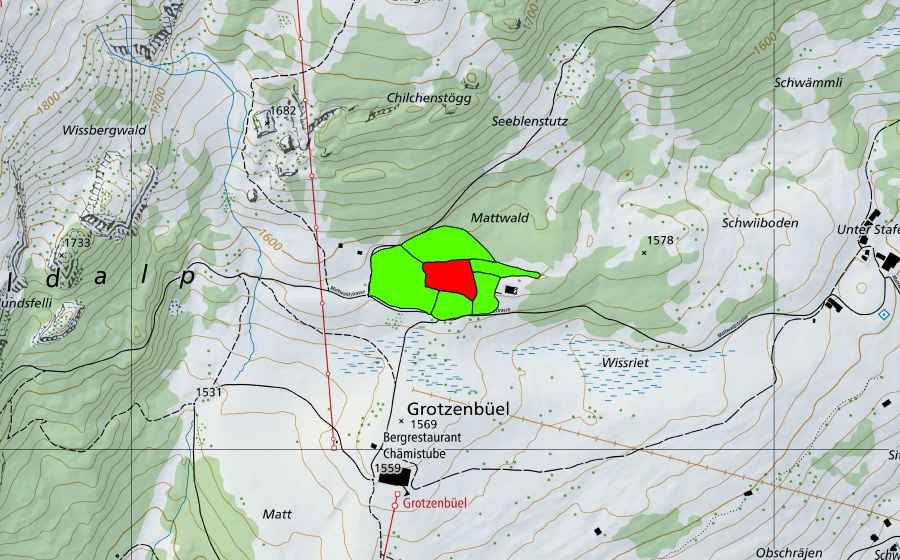 swisstopo national map showing the protected perimeter of Grotzenbüel (Braunwald) (Raised bog)