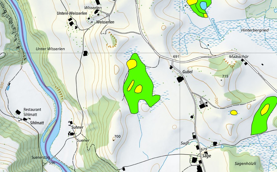 swisstopo national map showing the protected perimeter of Gubelmoos (Raised bog)
