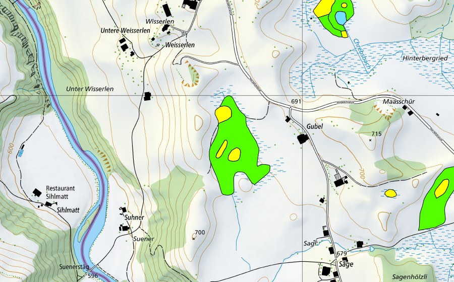Landeskarte swisstopo mit dem Schutzperimeter von Gubelmoos (Hochmoor)
