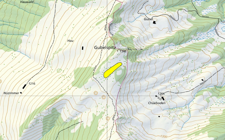 Carte nationale swisstopo avec le périmètre protégé de Gubelspitz (Haut-marais)