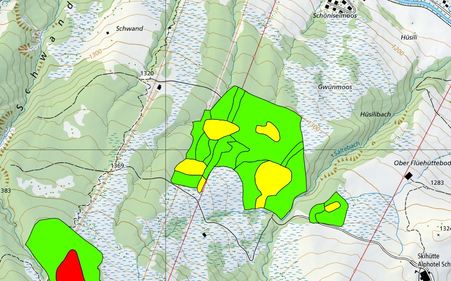 Landeskarte swisstopo mit dem Schutzperimeter von Guntlishütten (Hochmoor)