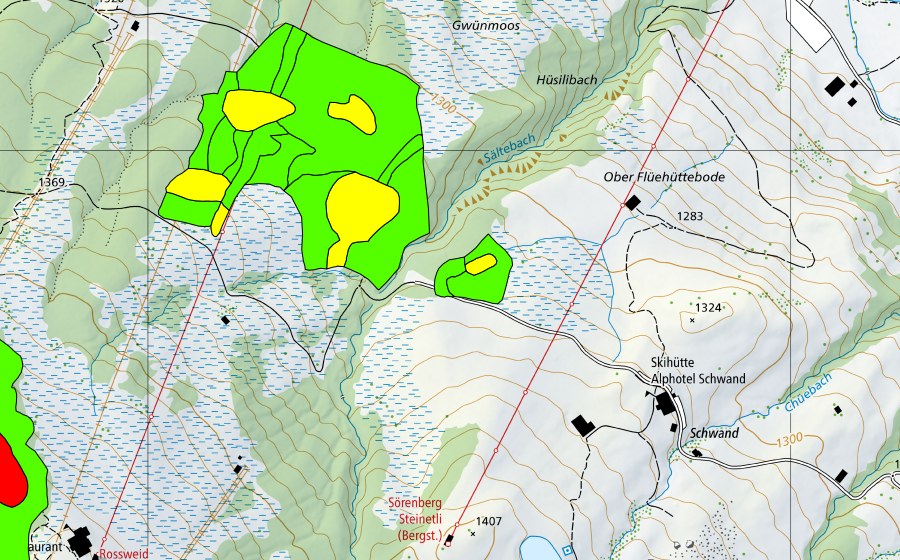 Landeskarte swisstopo mit dem Schutzperimeter von Guntlishütten (Hochmoor)
