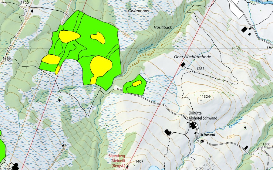 Carte nationale swisstopo avec le périmètre protégé de Guntlishütten (Haut-marais)
