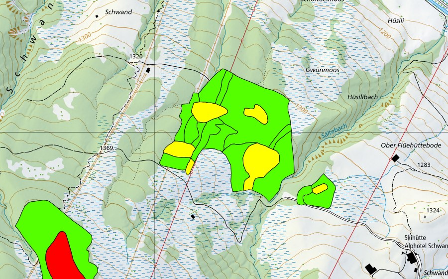 Landeskarte swisstopo mit dem Schutzperimeter von Guntlishütten (Hochmoor)