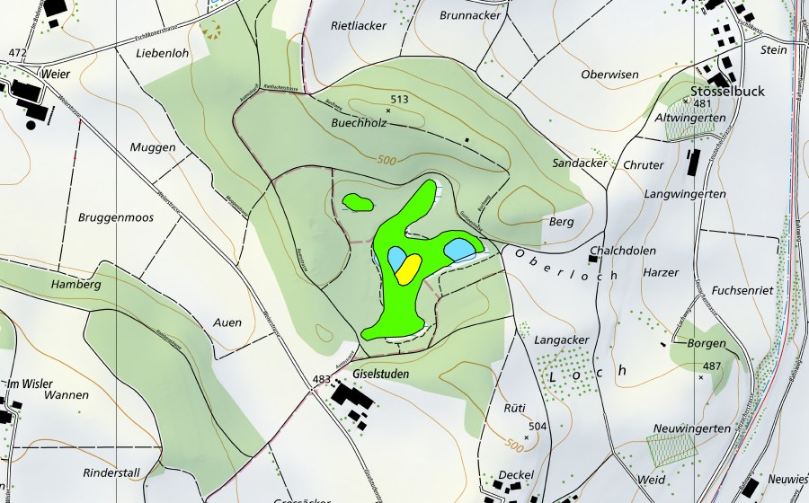 Carte nationale swisstopo avec le périmètre protégé de Gurisee (Haut-marais)