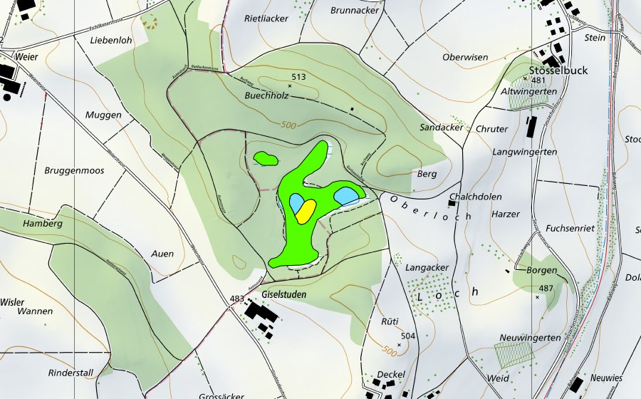 Carte nationale swisstopo avec le périmètre protégé de Gurisee (Haut-marais)