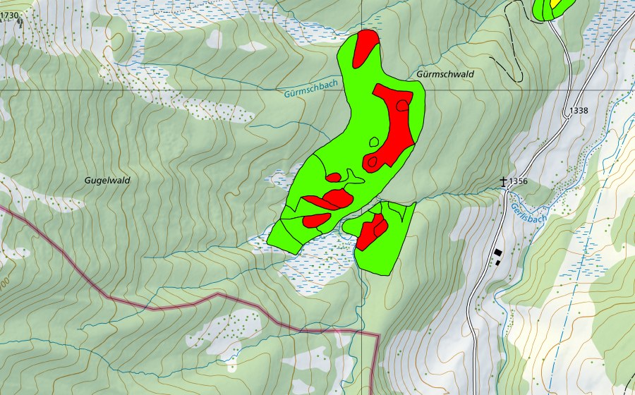 Carte nationale swisstopo avec le périmètre protégé de Gürmschwald (Haut-marais)