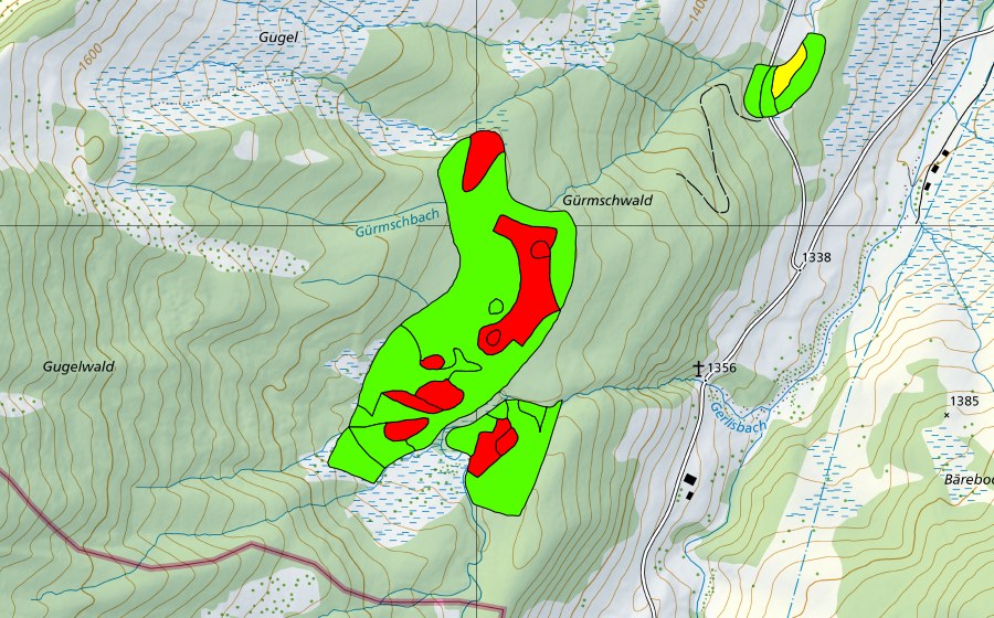 Landeskarte swisstopo mit dem Schutzperimeter von Gürmschwald (Hochmoor)
