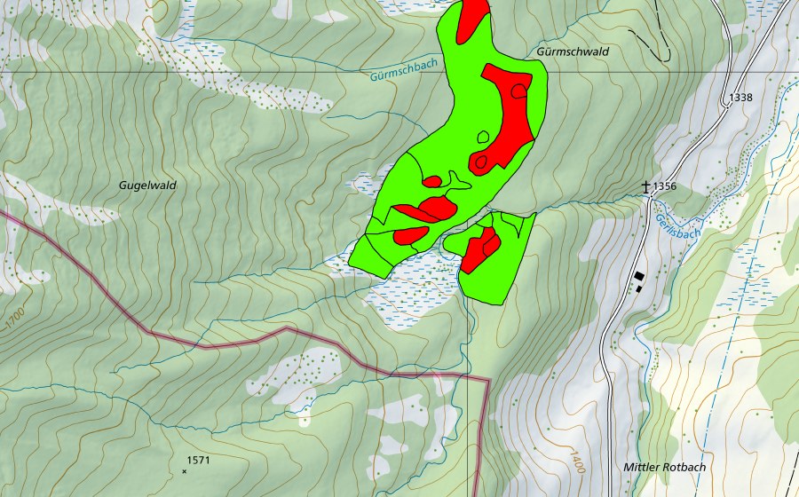 Landeskarte swisstopo mit dem Schutzperimeter von Gürmschwald (Hochmoor)