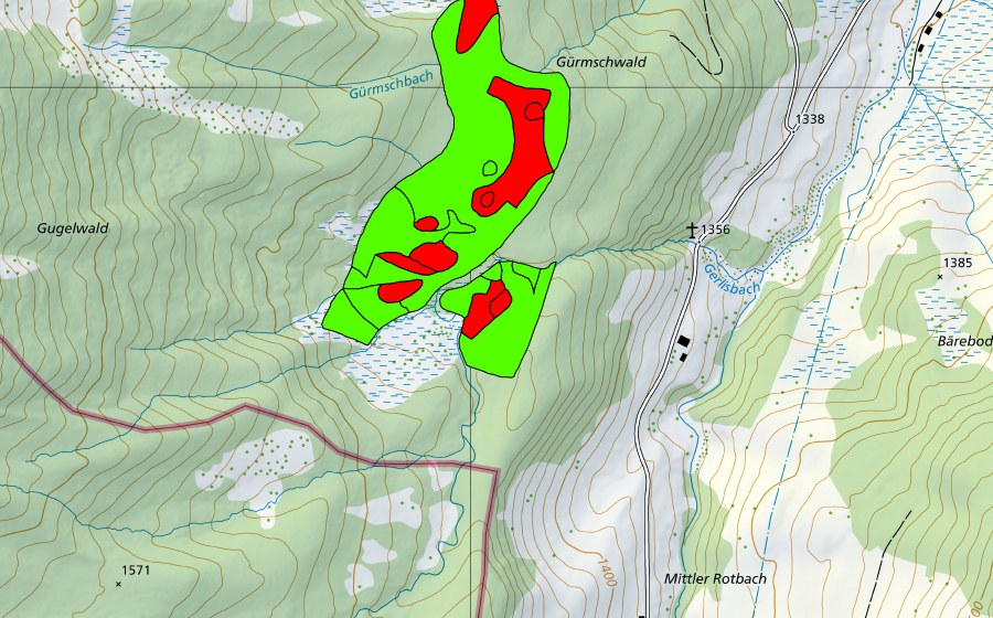 swisstopo national map showing the protected perimeter of Gürmschwald (Raised bog)