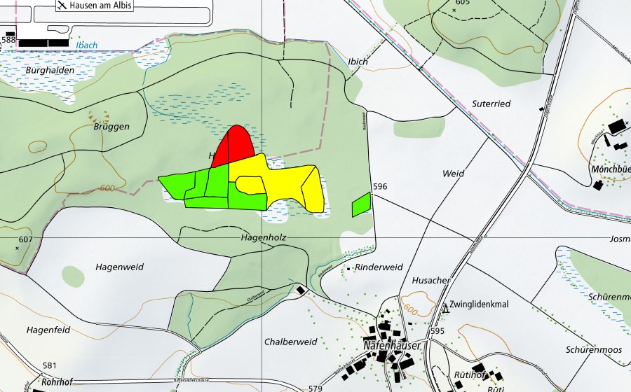 swisstopo national map showing the protected perimeter of Hagenholz/Hagenmoos (Raised bog)