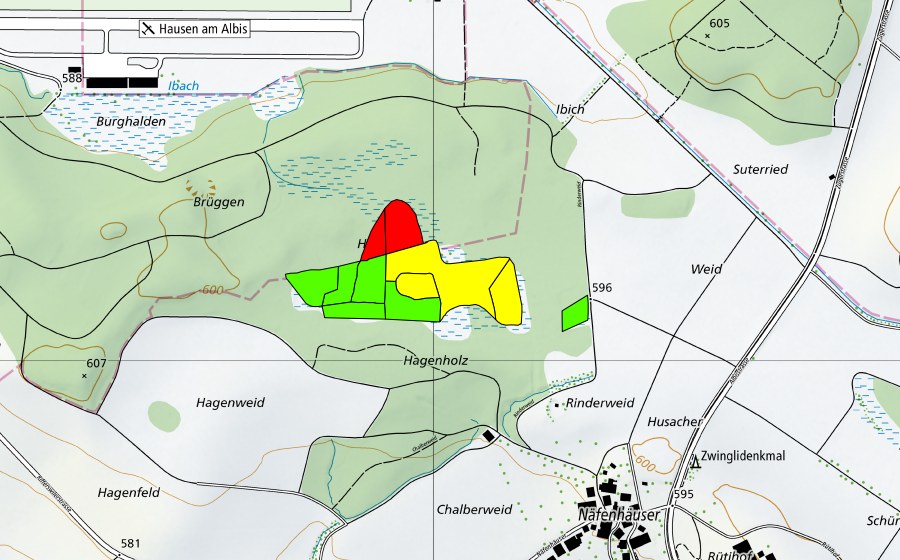 swisstopo national map showing the protected perimeter of Hagenholz/Hagenmoos (Raised bog)