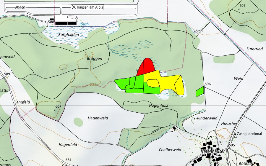 swisstopo national map showing the protected perimeter of Hagenholz/Hagenmoos (Raised bog)