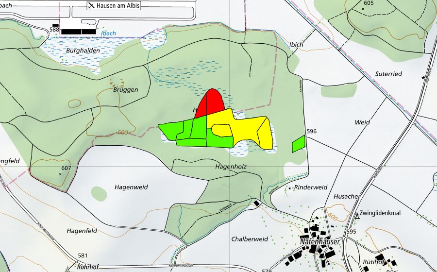 Carta nazionale swisstopo con il perimetro protetto di Hagenholz/Hagenmoos (Torbiera alta)