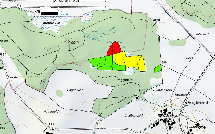 swisstopo national map showing the protected perimeter of Hagenholz/Hagenmoos (Raised bog)