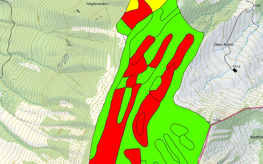 Carte nationale swisstopo avec le périmètre protégé de Hagleren (Haut-marais)