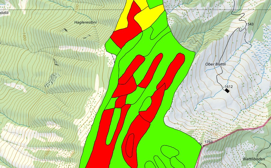 Landeskarte swisstopo mit dem Schutzperimeter von Hagleren (Hochmoor)