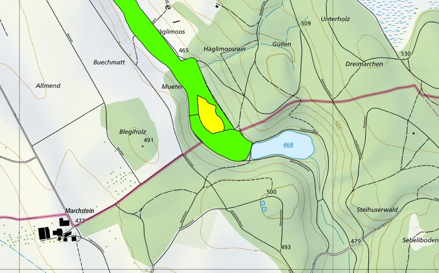 Carte nationale swisstopo avec le périmètre protégé de Häglimoos (Haut-marais)
