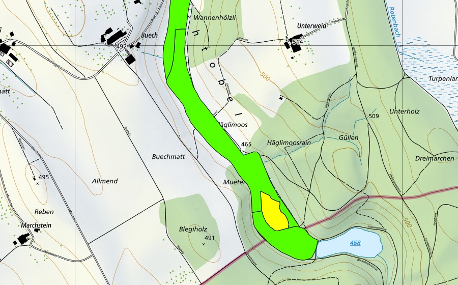 Landeskarte swisstopo mit dem Schutzperimeter von Häglimoos (Hochmoor)