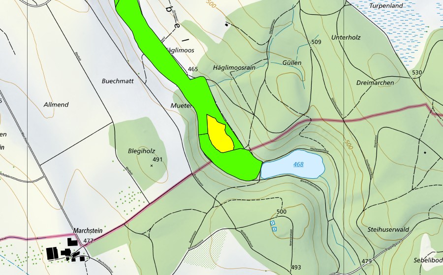 Landeskarte swisstopo mit dem Schutzperimeter von Häglimoos (Hochmoor)