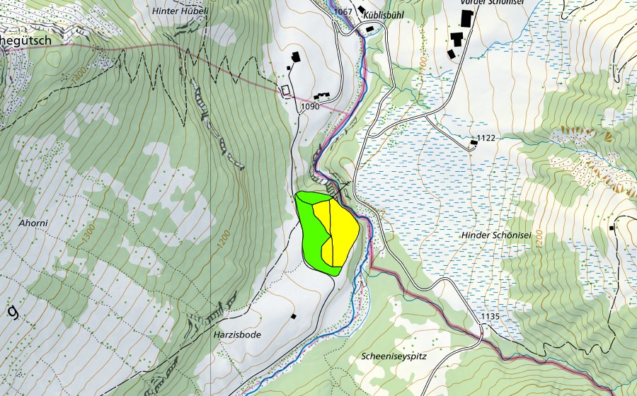 swisstopo national map showing the protected perimeter of Harzisboden (Raised bog)