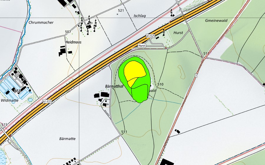Landeskarte swisstopo mit dem Schutzperimeter von Heidmoos (Hochmoor)