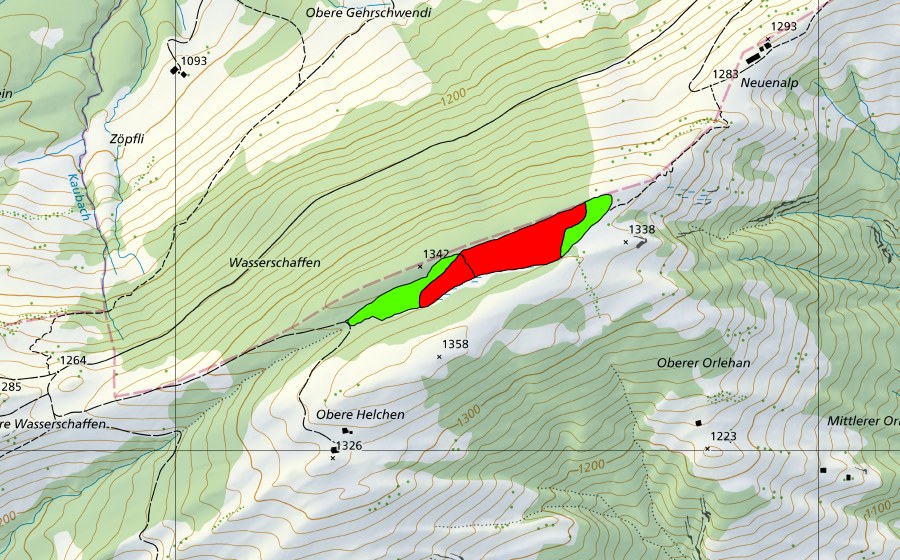 Landeskarte swisstopo mit dem Schutzperimeter von Helchen (Hochmoor)