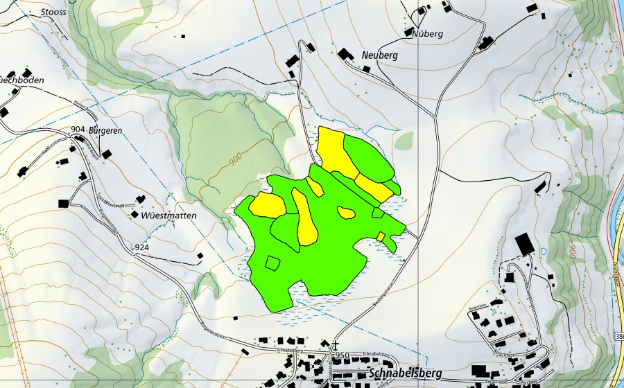 Carte nationale swisstopo avec le périmètre protégé de Hessenmoos (Haut-marais)