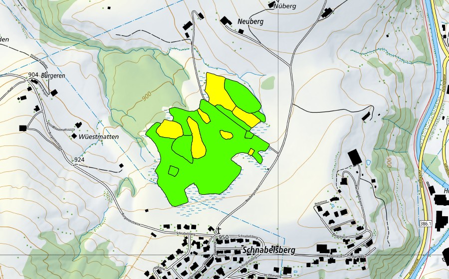 Landeskarte swisstopo mit dem Schutzperimeter von Hessenmoos (Hochmoor)