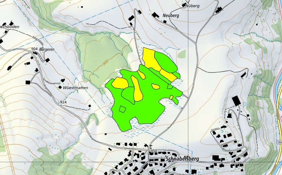 swisstopo national map showing the protected perimeter of Hessenmoos (Raised bog)