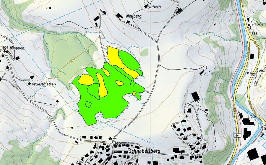 Landeskarte swisstopo mit dem Schutzperimeter von Hessenmoos (Hochmoor)
