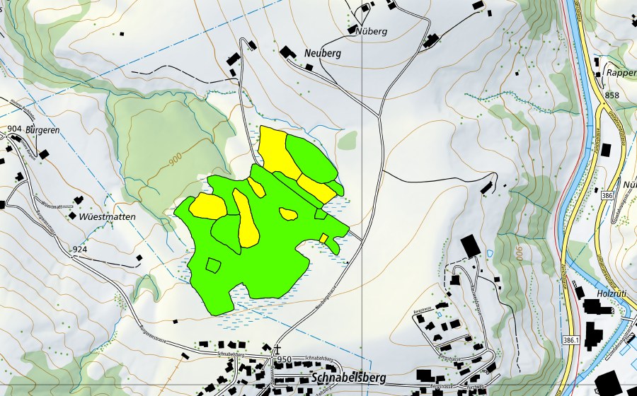 Landeskarte swisstopo mit dem Schutzperimeter von Hessenmoos (Hochmoor)