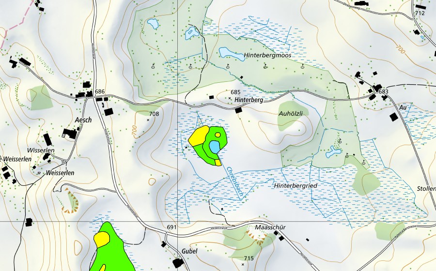 swisstopo national map showing the protected perimeter of Hinterbergried (Raised bog)