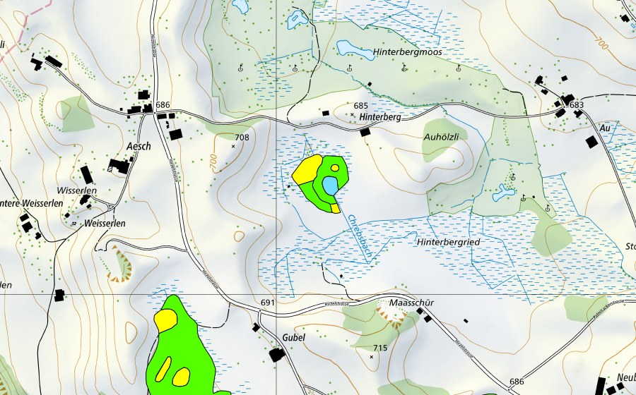Landeskarte swisstopo mit dem Schutzperimeter von Hinterbergried (Hochmoor)