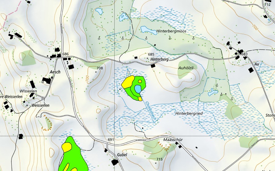 Landeskarte swisstopo mit dem Schutzperimeter von Hinterbergried (Hochmoor)