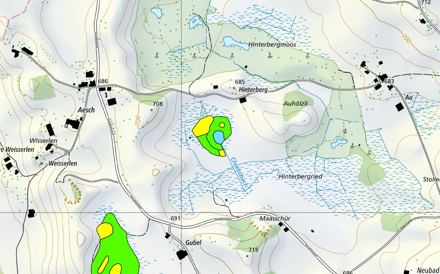 swisstopo national map showing the protected perimeter of Hinterbergried (Raised bog)