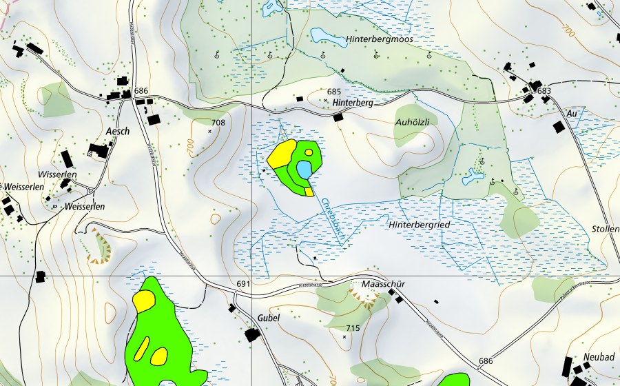 swisstopo national map showing the protected perimeter of Hinterbergried (Raised bog)