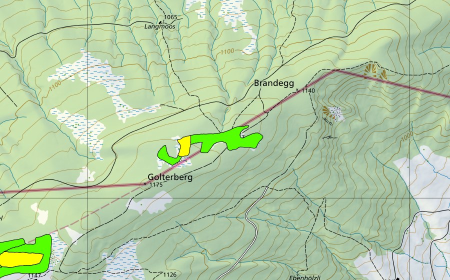 swisstopo national map showing the protected perimeter of Hirschberg (Raised bog)
